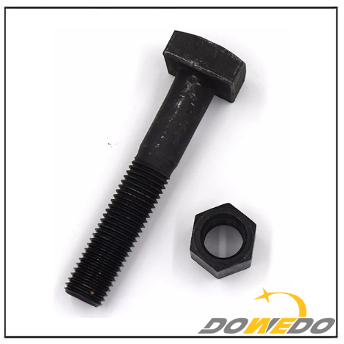 China Railway Track Bolt Nut