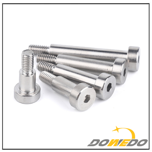 Stainless Steel Hexagon Socket Head Bolts