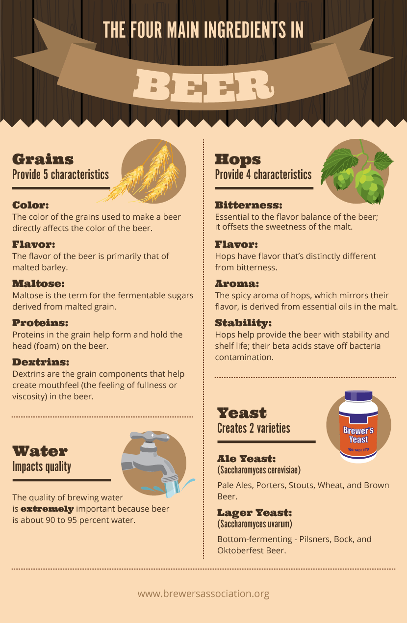 Four Main Ingredenients in Beer