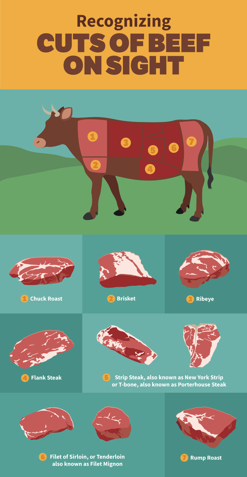 Steak Cuts Grilling Guide: Recognizing Cuts of Beef on Sight