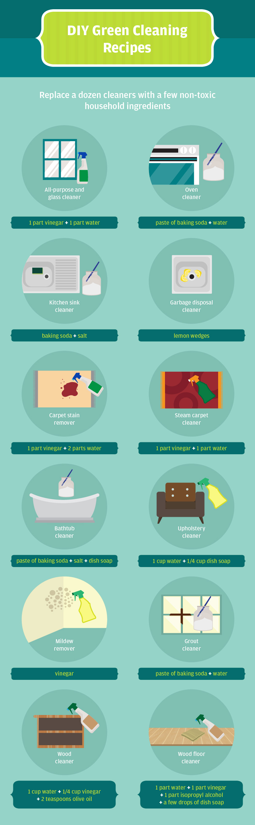 Spring Cleaning: Environmentally Friendly Cleaning Recipes